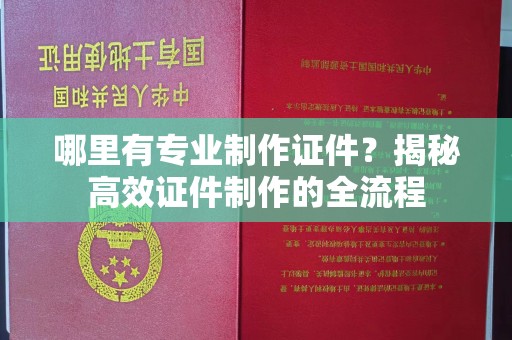 西乡哪里有专业制作证件？揭秘高效证件制作的全流程